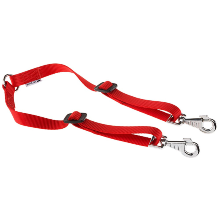 Double nylon dog lead